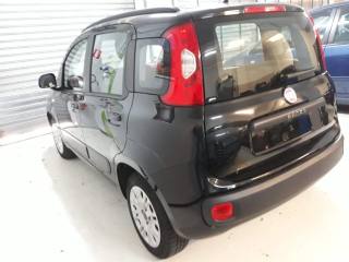 FIAT Panda usata, con Immobilizzatore elettronico