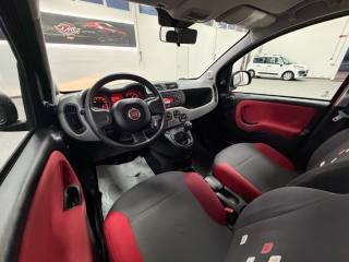 FIAT Panda usata 12
