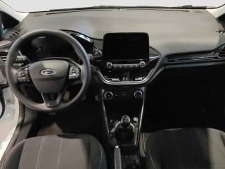 FORD Fiesta usata 10