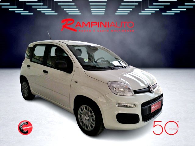 FIAT Panda usata 2
