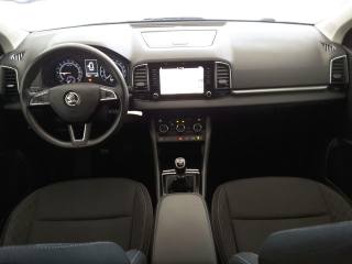 SKODA Karoq usata, con Controllo trazione