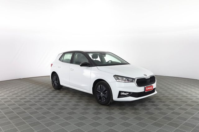 SKODA Fabia usata 1
