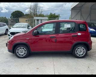FIAT Panda usata, con Airbag Passeggero
