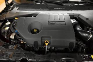 LAND ROVER Range Rover Evoque usata 157