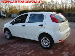 FIAT Punto usata 3