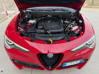 ALFA ROMEO Stelvio usata, con Bracciolo