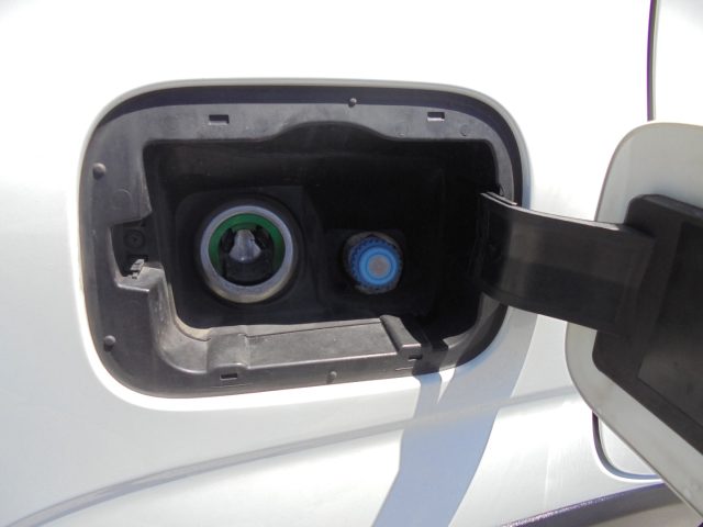 FIAT Panda usata, con Airbag testa