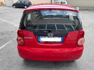 KIA Picanto usata 4