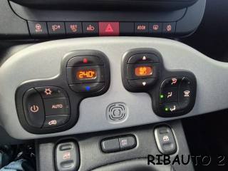FIAT Panda Cross usata, con Volante multifunzione