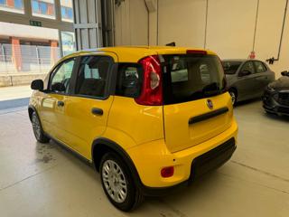 FIAT Pandina usata, con Antifurto