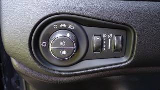 JEEP Renegade usata 88