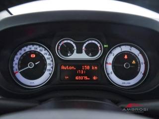 FIAT 500L usata 12