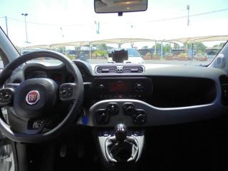 FIAT Panda usata 24