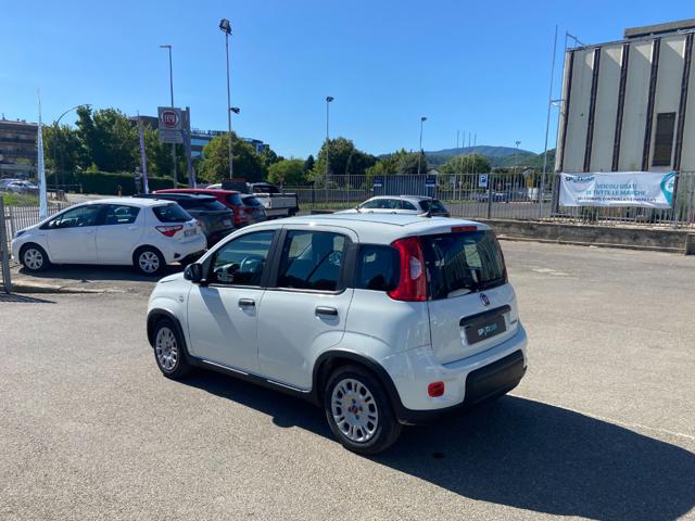 FIAT Panda usata, con Chiusura centralizzata