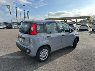 FIAT Panda usata, con Alzacristalli elettrici