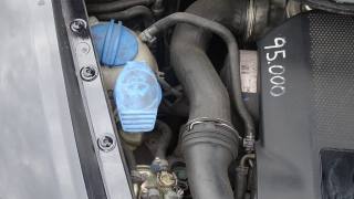 VOLKSWAGEN New Beetle usata 115