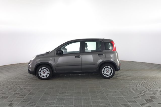 FIAT Panda usata 5