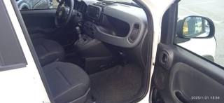FIAT Panda Cross usata, con Servosterzo