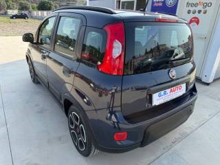 FIAT Panda usata, con Controllo trazione