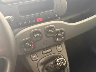 FIAT Panda usata, con Airbag testa