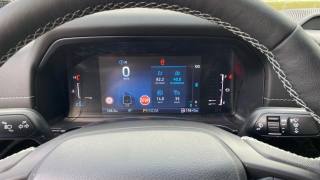 FORD Ranger usata, con Regolazione elettrica sedili