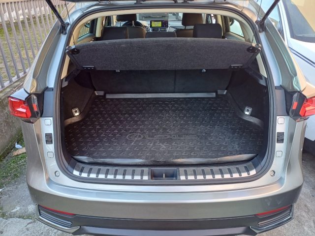 LEXUS NX 300 usata, con Specchietti laterali elettrici