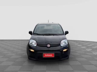 FIAT Panda usata 7