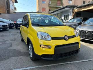 FIAT Panda 1.0 FireFly Hybrid * PREZZO PROMO *