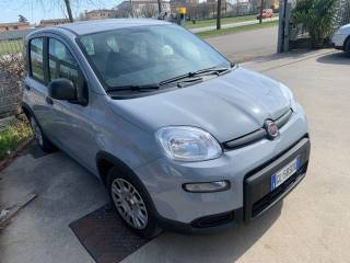 FIAT Panda usata, con Airbag
