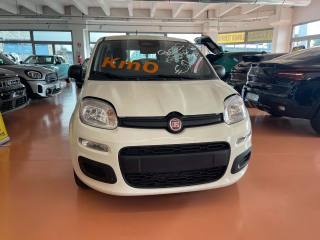 FIAT Pandina 1.0 FireFly 65 CV Hybrid Icon