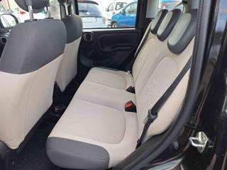 FIAT Panda usata, con Fendinebbia