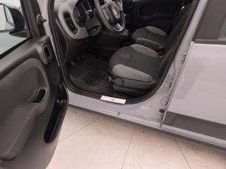 FIAT Panda usata 54