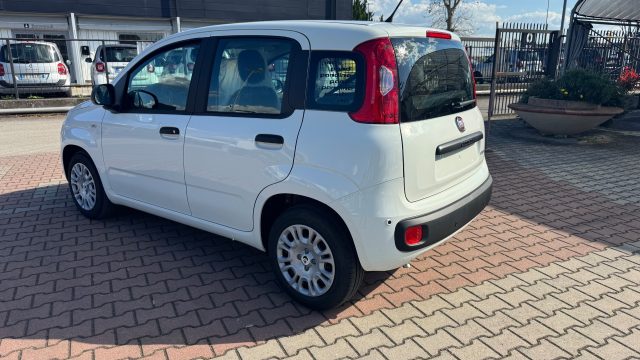 FIAT Pandina usata, con Alzacristalli elettrici