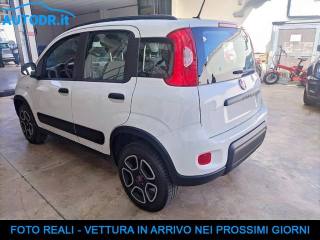 FIAT Panda usata, con Airbag Passeggero