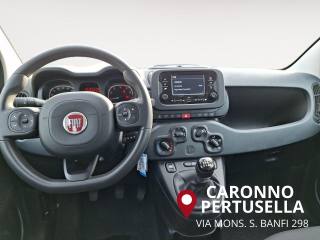 FIAT Panda usata, con Controllo trazione