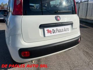 FIAT New Panda usata, con Immobilizzatore elettronico