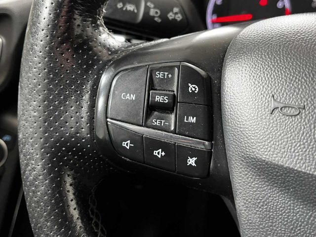 FORD Fiesta usata, con Specchietti laterali elettrici