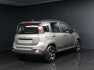 FIAT Panda Cross usata, con Antifurto