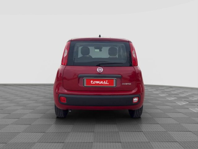 FIAT Panda usata 3
