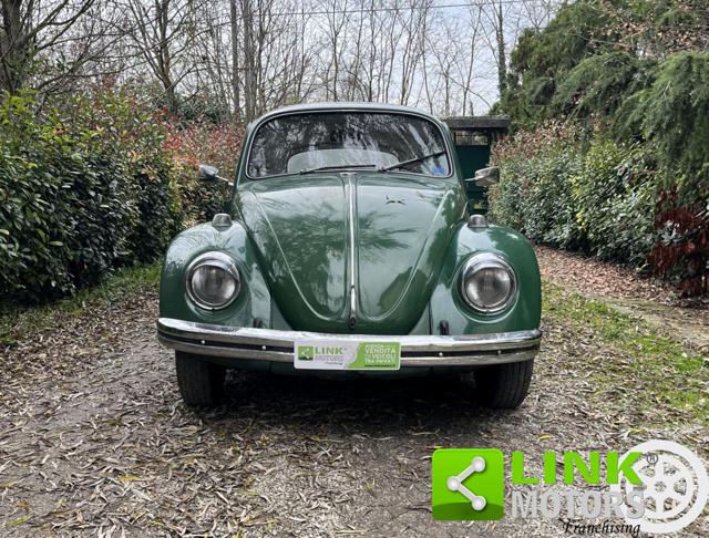 VOLKSWAGEN Maggiolino usata 6