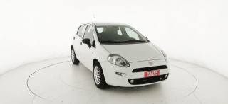 FIAT Punto usata 24