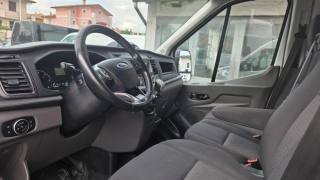 FORD Transit usata, con Fendinebbia