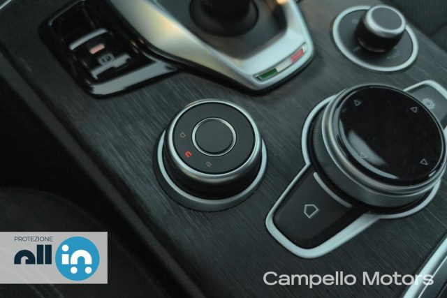 ALFA ROMEO Stelvio usata 14