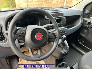 FIAT Panda usata, con Controllo trazione