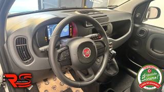 FIAT Panda usata, con Climatizzatore