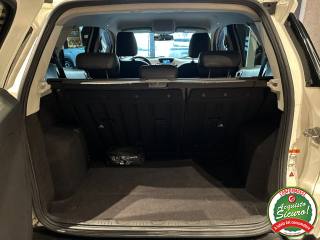 FORD EcoSport usata, con Cronologia tagliandi