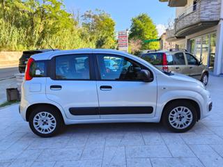 FIAT Panda usata, con Servosterzo