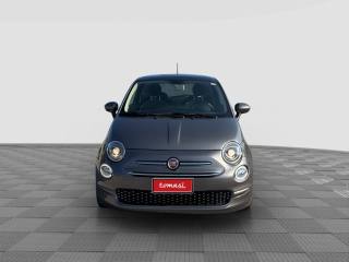 FIAT 500 usata 6