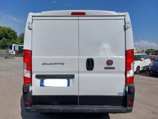 FIAT Ducato usata 6