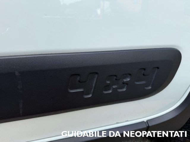 FIAT Panda usata, con Trazione integrale